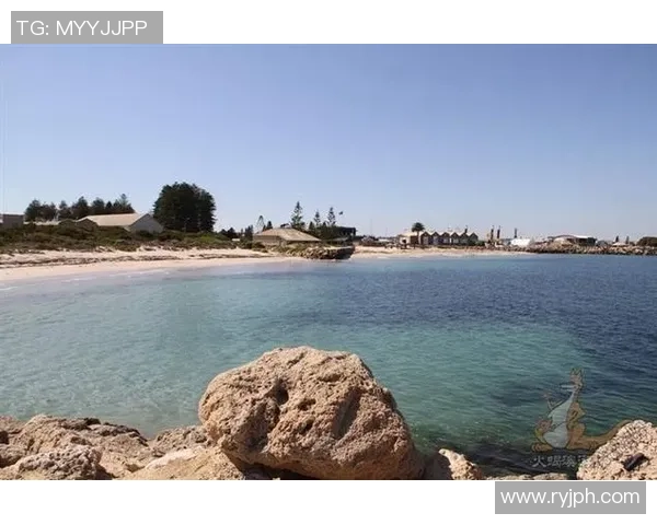 珀斯光荣女足迎战弗里曼特尔全力争胜展现实力与团队精神