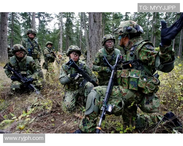 卢多戈与十字军的激烈对抗谁能在战场上胜出解析